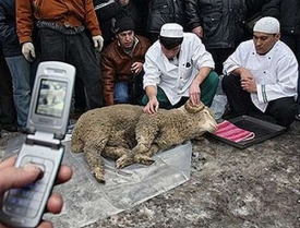 Muslimové podřezávají v Moskvě ovci.
