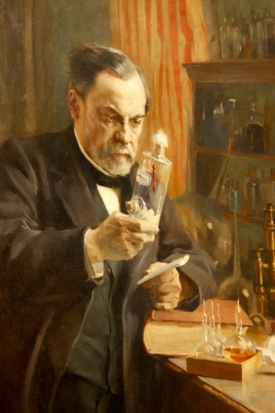 První sérum Pasteur získal ze sušených mích nakažených králíků.