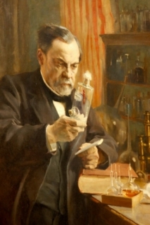 První sérum Pasteur získal ze sušených mích nakažených králíků.