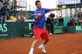 Jan Hájek při zápase Davis Cupu (ilustrační foto).