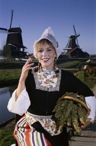 Krojovaná Holanďanka kouřící jointa. Pro leckoho ideální kombinace.