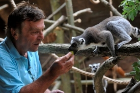 Pavel Trávníček se svým lemurem.