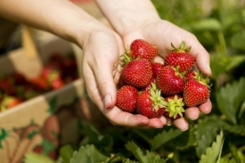 Alergika můžou zabít i jahody nebo jedlé houby.