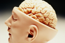 Mozek vzdělanějšího člověka se s demencí lépe popere.