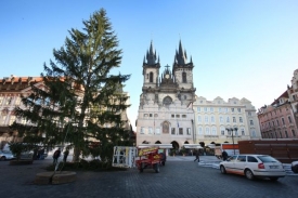 Na britského turistu spadnul v Praze vánoční strom.