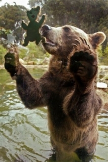Grizzly nemusí vždy jen bavit (ilustrační foto).