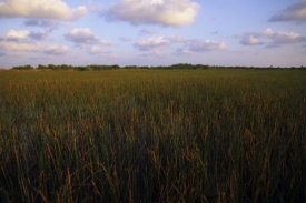 Floridský park Everglades se opět vrátil na seznam UNESCO.