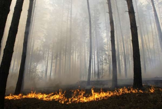Hořící lesy nedaleko Moskvy.