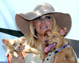 Pamela Andersonová se svými psími miláčky.