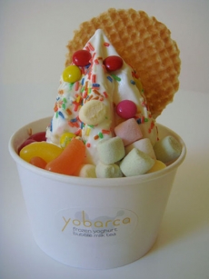 Frozen Yoghurt od firmy Yobarca.