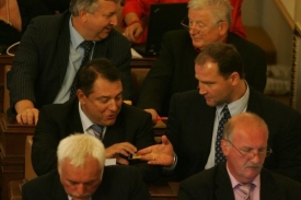 Opoziční ČSSD už předem avizovala, že Nečasův kabinet nepodpoří.