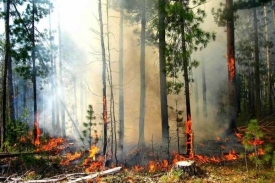 Ukrajinu stejně jako Rusko sužují požáry a rekordní vedra.