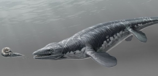 Platecarpus tympaniticus lovil v mořích před 85 miliony lety.