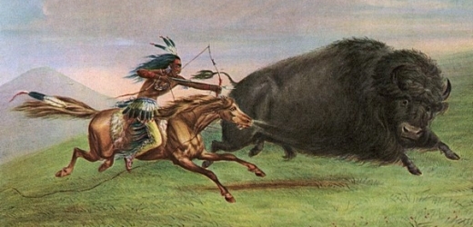 Indiáni při lovu bizonů používali rafinované metody.