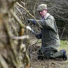 Charles staví plot v Highgrove, kde mu lišky zamordovaly slepice.