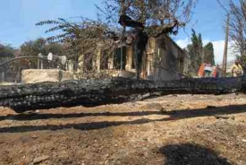 Důsledky požáru na řeckém ostrově Evia.