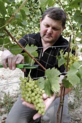 Vinařem roku je Josef Valihrach z rodinného vinařství v Krumvíři.