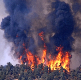Lesy hoří i v turisty hojně navštěvované Kalifornii.