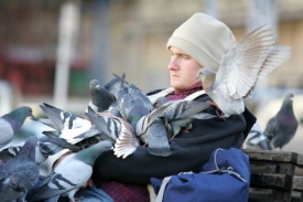 Přemnožení holubi jsou problémem mnoha evropských metropolí.