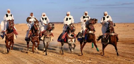 Berberští koně si zaběhli do Itálie.
