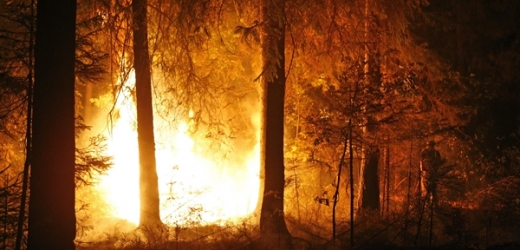 Do půle srpna zabily požáry přes padesát lidí.