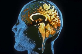 Tzv. zelený mozek dostává díky vědcům jiné dimenze. 