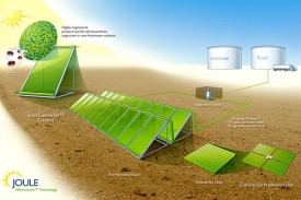 Výroba biopaliv pomocí geneticky upravených sinic.