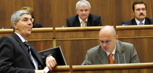 Na Slovensku začalo referendum o snížení počtu poslanců jednokomorového parlamentu a o omezení jejich imunity. (Ilustrační foto)