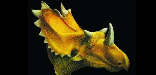 Rekonstrukce podoby druhu Utahceratops gettyi.