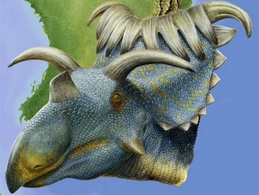 Kosmoceratops richardsoni.