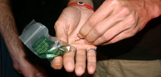 Náborář měl slibovat gram marihuany za každého nového člena ČSSD (ilustrační foto).