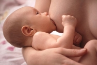 Mateřské mléko posiluje dětskou imunitu.