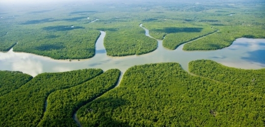 Život vázaný na dvě třetiny řek je vážně ohrožen.