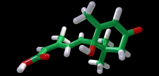 Laureáti Nobelovy ceny za chemii usnadnili tvorbu složitých organických látek.