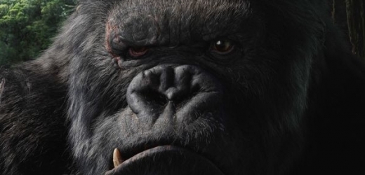 Mohl být inspirací King Konga skutečný žijící tvor (ilustrační foto)?