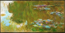 Erbovní obraz výstavy - Monetovy Lekníny.