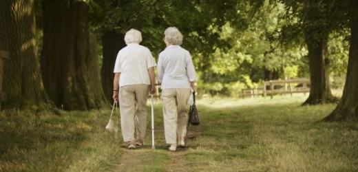 Tomu, kdo má problémy s pamětí, může pomoci krátká každodenní procházka.