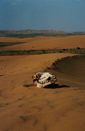 Mongolská poušť Gobi. Sucho hrozí ve Střední Asii stále víc.