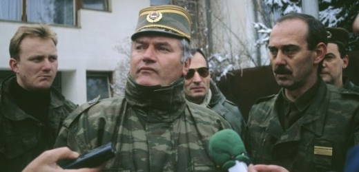 Mladić, který byl před Mezinárodním trestním tribunálem pro bývalou Jugoslávii (ICTY) obžalován z genocidy, je na útěku 15 let. V roce 1995 byl obžalován z genocidy, válečných zločinů a zločinů proti lidskosti, jichž se údajně dopustil v letech 1992 až 1995 během války v Bosně. Za vinu se mu především dává účast na masakru asi osmi tisíc Muslimů ve Srebrenici.
