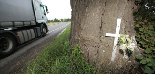 Až šestina úmrtí při dopravních nehodách připadá na srážky se stromy.