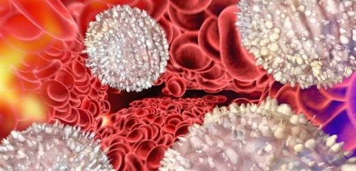Kanaďané vytvořili z lidských kožních buněk červené i bílé krvinky.