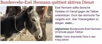 Hermann v článku listu Die Welt.