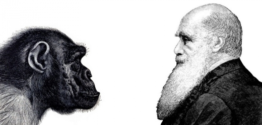 Před 151 lety Darwin publikoval svou evoluční teorii.