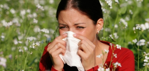 Trápí vás alergie na pyl? Možná za to můžou vaši předci.
