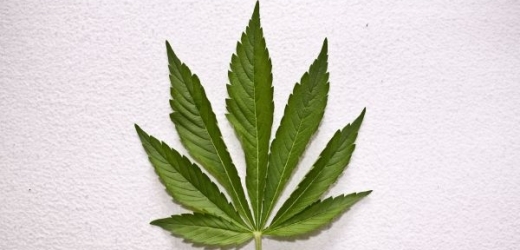 Policista prodával marihuanu (ilustrační foto).
