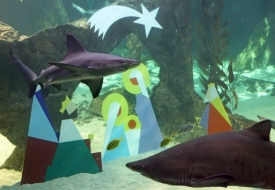 Žraloky je lepší mít za sklem (ilustrační foto z madridského vánočního akvária).