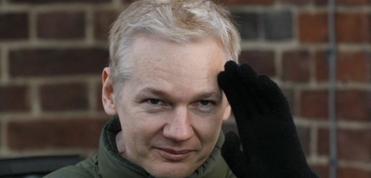 Administrativa prezidenta Baracka Obamy zkoumá, zda je podle stávajících zákonů možné obvinit spoluzakladatele WikiLeaks Juliana Assange z trestných činů.