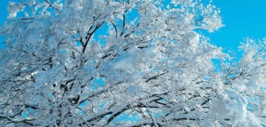 Přestože se oteplí, sníh do Vánoc určitě neroztaje (ilustrační foto).