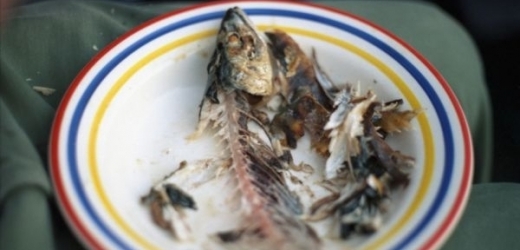 Dospělí se asi naučili rybí maso jíst, žádný s tímto problémem nepřišel (ilustrační foto). 