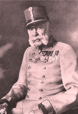 Císař František Josef I. onemocněl 1. ledna 1911 rýmou. 